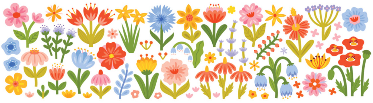 Floral collection with flowers, leaves for your design. Hand drawn set. Vector illustration.