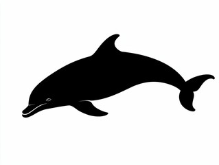 Fototapeta premium Dolphin Silhouette