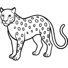 Sapphire Leopard Outline Vector