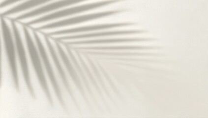 Obraz premium Soft Gray Background Featuring Palm Leaf Shadow for Tranquil and Minimalistic Design Projects
