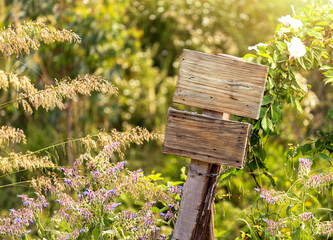 Empty wooden sign standing in a sunny meadow