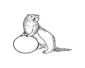 Cute Water Animal Sitting SVG Logo Design – Adorable Aquatic Creature Vector Clipart, Marine Life Silhouette, Ocean Logo for Print