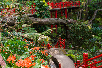 Beautiful botanical park in Funchal, Madeira, filled with tropical plants, red architectural...