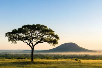 Obraz premium Serene Ecosystem With Lush Greenery and Majestic Mountain Views