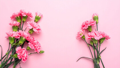 Obraz premium Beautiful bouquet of pink carnation flowers isolated on pink backdrop. Holiday card banner. Flat lay