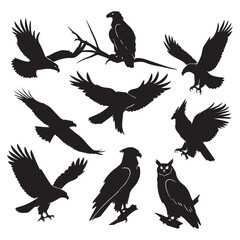 Obraz premium Set of black bird' vector icon silhouettes isolated on white background
