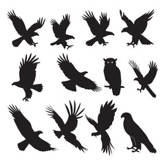 Set of black bird' vector icon silhouettes isolated on white background