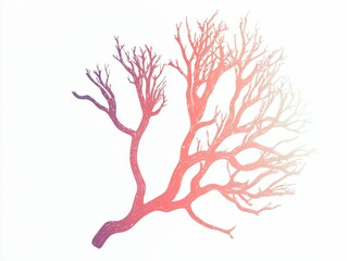 Coral Branch Art