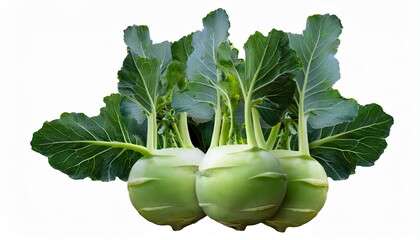 Fresh Kohlrabi Trio: A Healthy Harvest