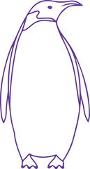 penguin on a white background