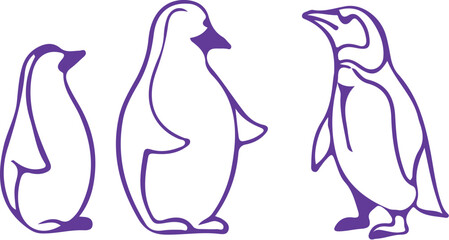 penguin on a white background