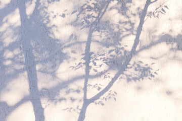 Tree shadow on the building facade. Natural urban background.