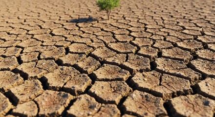 Extreme Drought Cracked Earth Texture Dry Land Parched Soil Desertification