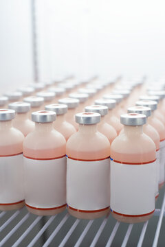 Storage of Swine Vaccines in Veterinary Cold Chain: Preserving Biologicals for Disease Prevention