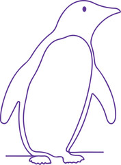 penguin vector illustration