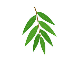 Fototapeta premium A sprig with several vibrant green leaves attached to a reddish-brown stem