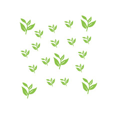 green leaf pattern background