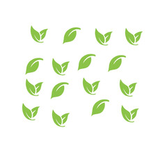 green leaf pattern background