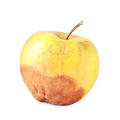 One whole rotten apple isolated on white