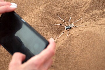 Fototapete bei efototapeten.de bestellen   