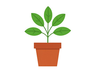 Fototapeta premium Potted plant illustration