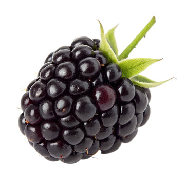 Blackberry with leaf isolated on transparent background