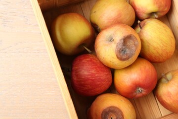 Damaged and rotten apples in wooden crate on table, top view