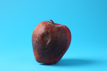 One rotten red apple on light blue background