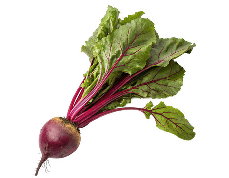 bunch of red beets Isolated PNG or JPEG Background