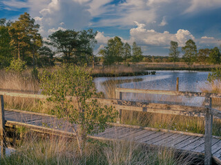 Abendstimmung am Pietzmoor
