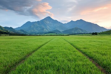 Fototapeta premium Lush green field meets majestic mountains in tranquil countryside farm at golden hour