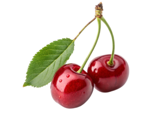 Fresh Red Cherries with water drops Isolated PNG or JPEG Background
