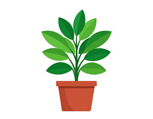A potted plant with lush green leaves in a terracotta pot (1)