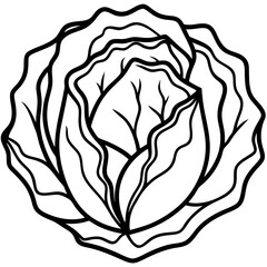 Minimalist Iceberg Lettuce Vector Illustration