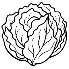 Minimalist Iceberg Lettuce Vector Illustration