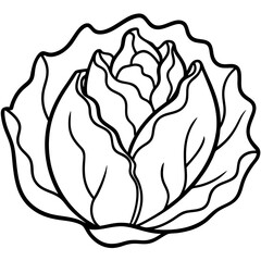 Minimalist Iceberg Lettuce Vector Illustration