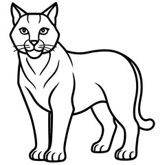 Arctic Lynx Outline Artwork