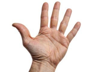 Open Hand Palm Facing Camera Isolated PNG or JPEG Background