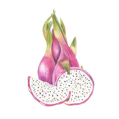 Pink whole pitaya and cross section slices with flesh, black seeds watercolor illustration isolated background. Dragon fruit cactus for healthy food packaging, juice labels, culinary content