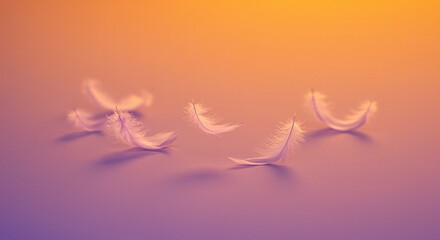 Delicate white feathers float gently on a soft orange and purple background, creating a serene and ethereal scene.