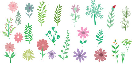 drawn spring and summer floral elements. Includes wildflowers, leaves, herbs, plants, and foliage, all on a white background