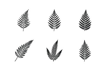 Fototapeta premium fern leaf line art vector illustration
