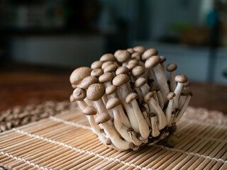 fresh brown shimeji mushroom or beech mushroom.