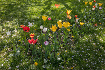 Picturesque spring park on a sunny day