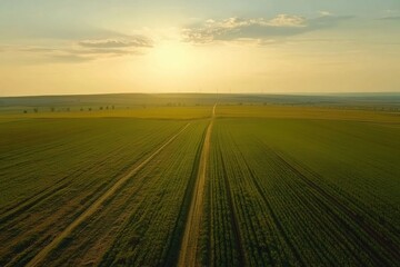 Aerial View Serene Sunset Rural Farmland Landscape Golden Hour Agriculture Field Sky Path Road Green
