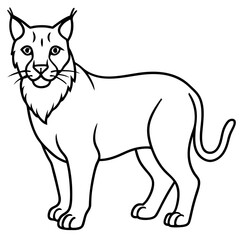 Minimal Arctic Lynx Vector Line Art