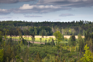 Spring landscape with field and forests, Czech Canada, Czechia