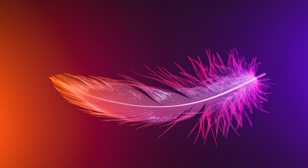 Obraz premium A single delicate feather floats against a vibrant red and purple gradient background, showcasing its intricate details and ethereal beauty.