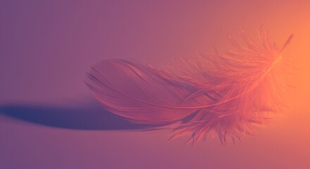 Obraz premium Delicate Bird Feather with Soft Pink and Orange Gradient Background, Light and Airy Texture