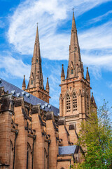 Sydney, New South Wales, Australia: Towers of the cathedral of Saint Mary of the Cross  tourist landmark Cathedral of Sydney  Saint Mary's Cathedral © PhotoFires